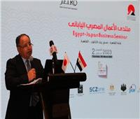 وزير المالية: مصر تنفتح على العالم باقتصاد أكثر تنوعا وجذبا للاستثمارات