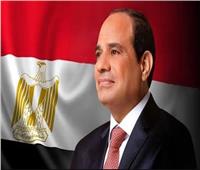 النائبة رقية الهلالي: قرارات الرئيس أثلجت قلوب المصريين وعكست اهتمام القيادة السياسية 