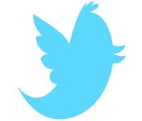 خبير إعلام رقمي: «تويتر» منصة صناعة تريند للجان الإلكترونية