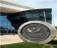 «الرقابة المالية» تشكل لجنة تنسيقية للمجمعة المصرية لتأمين السفر للخارج
