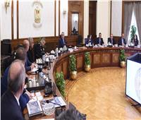 رئيس الوزراء يستعرض مقترحات تعزيز سياحة اليخوت في مصر