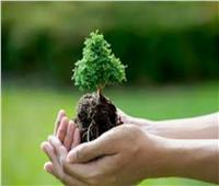 «البيئة»: «الحلول القائمة على الطبيعة» مبادرة للربط بين أزمات المناخ