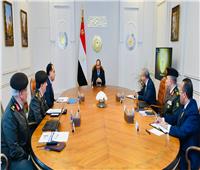 الرئيس السيسي يوجه بمواصلة الجهود لتعميق التصنيع والإنتاج الغذائي في مصر