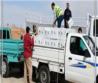 «كتف في كتف»| توزيع 400 طن مواد غذائية بجنوب سيناء