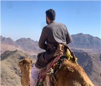 حمادة هلال يصعد قمة جبل موسى على «جمل».. صورة من كواليس «المداح 3»