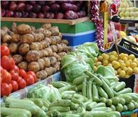 استقرار أسعار الخضراوات في سوق العبور الخميس 9 مارس