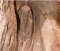 من الجيزة إلى أسوان.. «تماثيل أبو الهول» تزين المحافظات| صور