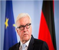 شتاينماير: ألمانيا تدعم جورجيا في مسارها الأوروبي