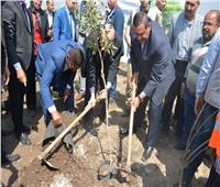 وزير التنمية المحلية: دعم محافظة بني سويف بـ 68 ألف شجرة ضمن مبادرة الرئيس