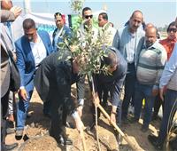وزير التنمية ومحافظ بني سويف يتفقدان أعمال مبادرة «100 مليون شجرة»