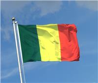 تأجيل الاستفتاء الدستوري في مالي إلى موعد لاحق