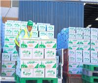 توزيع 4 آلاف كرتونة غذائية تزامنا مع شهر رمضان بأسوان