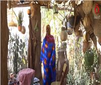 تقرير.. «سيدة سودانية حولت منزلها إلى معرض صديق للبيئة»