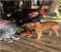 كلب يقتحم تصوير مسلسل «تلت التلاتة» لغادة عبد الرازق 