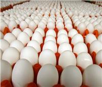 أسعار البيض في الأسواق اليوم السبت 18 مارس
