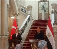 واشنطن: زيارة وزير الخارجية التركي لمصر خطوة مهمة نحو منطقة أكثر استقرارًا