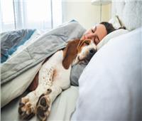 دراسة: مالكي الحيوانات الأليفة قد يكونون معرضين لقلة النوم      