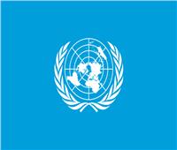 الأمم المتحدة: لجنة وضع المرأة تدعو لتعزيز دورها في مجال التكنولوجيا