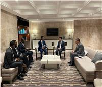 وزير الرياضة يلتقي نظيره الصومالي على هامش اجتماعات مجلس وزراء الشباب العرب