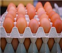 استقرار أسعار البيض الاثنين 20 مارس 2023