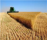 منجي بدر: شراء القمح من روسيا بـ«الروبل» يوفر 12 مليار دولار