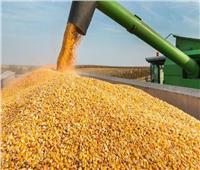«الزراعة»: الإفراج عن 140 ألف طن ذرة وفول صويا بـ60 مليون دولار