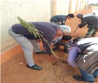 استمرار حملات التشجير بمركز ساحل سليم في أسيوط ضمن «زراعة 100 مليون شجرة»  
