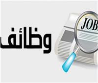 «القوى العاملة» تعلن عن 130 فرصة عمل لذوي الهمم بالقاهرة 