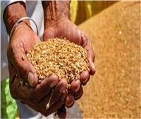 «التموين»: لدينا مخزون استراتيجي آمن من القمح والأرز والسكر| فيديو