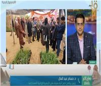 توزيع 10 آلاف شتلة لوز على المزارعين مجانا في سيناء