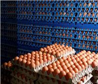 استقرار أسعار البيض في الأسواق الخميس 23 مارس 