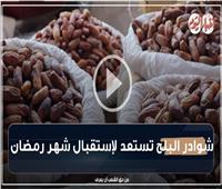 سعر الكيلو يبدأ من 25 جنيهًا.. كواليس من شوادر البلح في رمضان| فيديو 