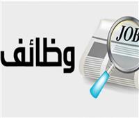 القوى العاملة تعلن عن 3116 فرصة عمل في 11 محافظة