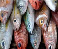 أسعار الأسماك في سوق العبور اليوم السبت 25 مارس