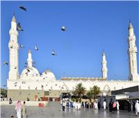 «قباء».. أول مسجد أسسه الرسول وأكمله الصحابة| صور
