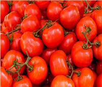 استقرار أسعار الخضراوات اليوم في سوق العبور.. الطماطم بـ6 جنيه 