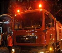 السيطرة على حريق شب في أشجار وحشائش داخل حديقة بمدينة 15 مايو 