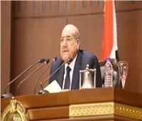 «عبد الرازق» يفتتح أعمال الجلسة العامة للشيوخ