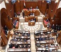 برلماني: قرارات مجلس الأمناء خير رد على المشككين في جدية الحوار الوطني