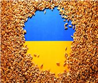 الصادرات الزراعية الأوكرانية إلى إفريقيا تتجاوز 3 ملايين طن