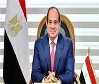 الحزب العربي للعدل والمساواة: المقاتل المصري مثال للشرف والتضحية    