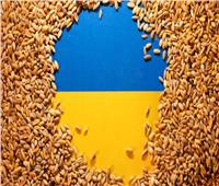 توقعات بانخفاض محصول الحبوب في أوكرانيا 5 ملايين طن في عام 2023