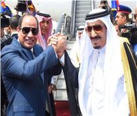 ناجي قمحة: مصر والسعودية جناحا الأمن والاستقرار في المنطقة