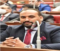 برلماني: لقاء السيسي بولي العهد السعودي يؤكد على قوة العلاقة بين الدولتين