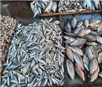 أسعار الأسماك اليوم في سوق العبور.. والبوري بـ 75 جنيها