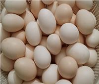 استقرار أسعار البيض في المزارع المحلية اليوم الثلاثاء 4 أبريل