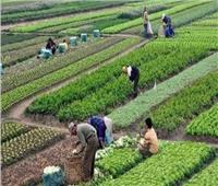استشاري تنمية مستدامة: الدولة حصرت الأراضي ضمن خطة لإقامة مشروعات زراعية