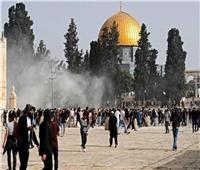 العربية لحقوق الإنسان تدين الاعتداءات الإسرائيلية على المسجد الأقصى 