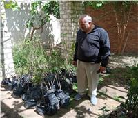 محافظ أسيوط: استمرار أعمال التشجير بزراعة 2600 شجرة 