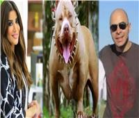 قد تصل لـ5 سنوات حبس.. العقوبة المنتظرة في واقعة كلب الإعلامية أميرة شنب